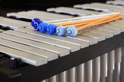  Vibraphone: Learn Musical Notes Through Rhythmic Joy!